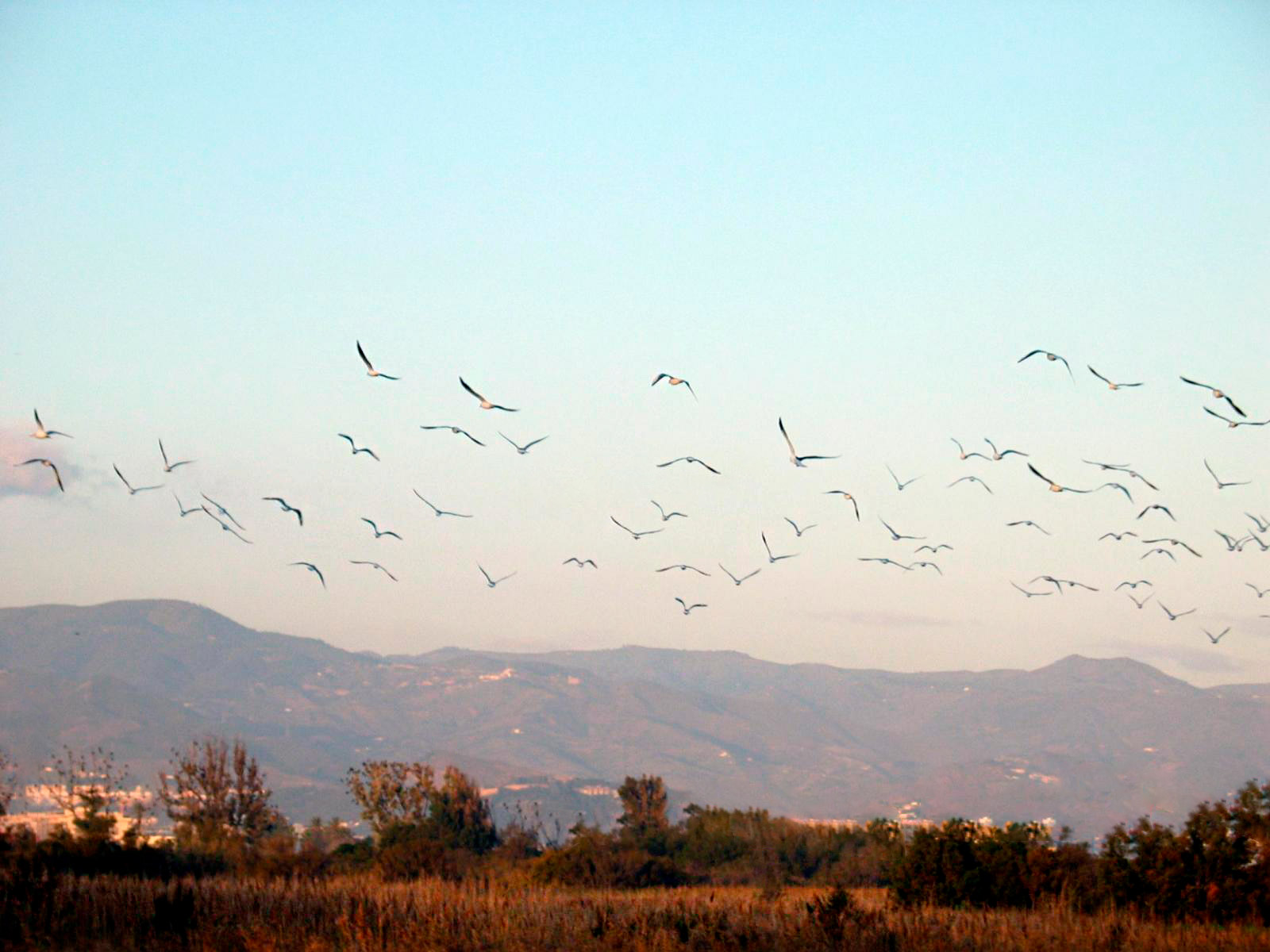 Planes para disfrutar en Málaga este otoño